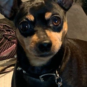 Meet your Posher, Cindy